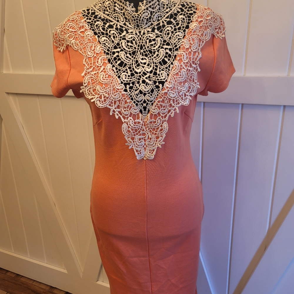Elegant Lace-Trimmed Dress in Peach With Backout